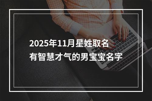 2025年11月星姓取名有智慧才气的男宝宝名字
