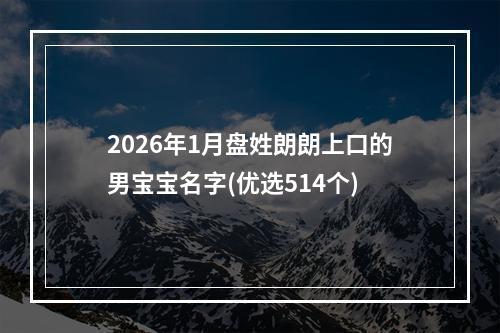 2026年1月盘姓朗朗上口的男宝宝名字(优选514个)