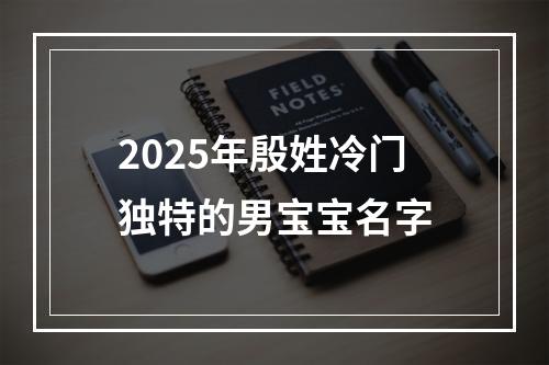 2025年殷姓冷门独特的男宝宝名字