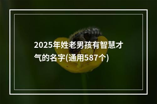 2025年姓老男孩有智慧才气的名字(通用587个)