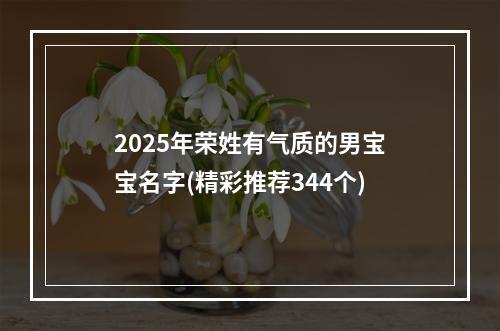 2025年荣姓有气质的男宝宝名字(精彩推荐344个)