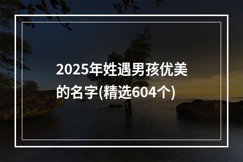2025年姓遇男孩优美的名字(精选604个)