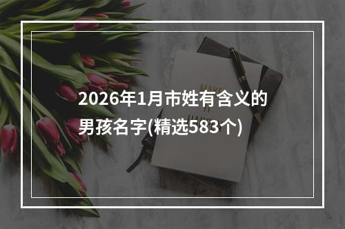 2026年1月市姓有含义的男孩名字(精选583个)