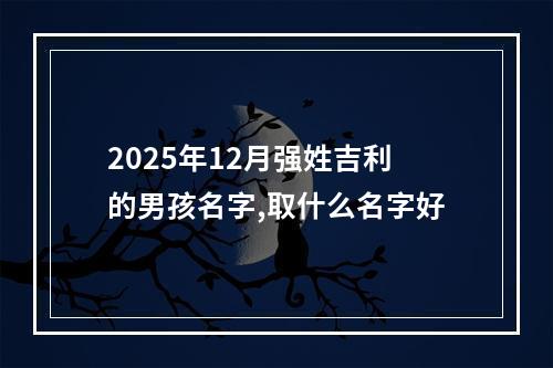 2025年12月强姓吉利的男孩名字,取什么名字好
