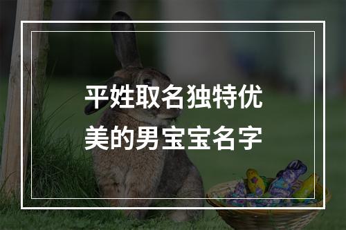 平姓取名独特优美的男宝宝名字