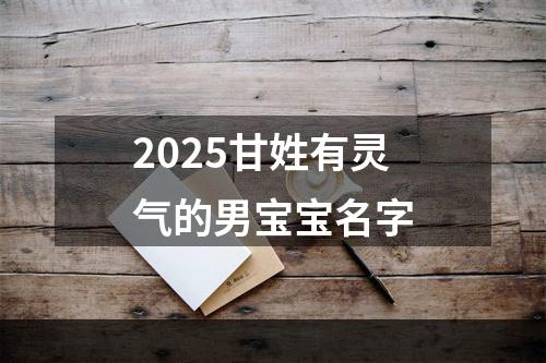 2025甘姓有灵气的男宝宝名字