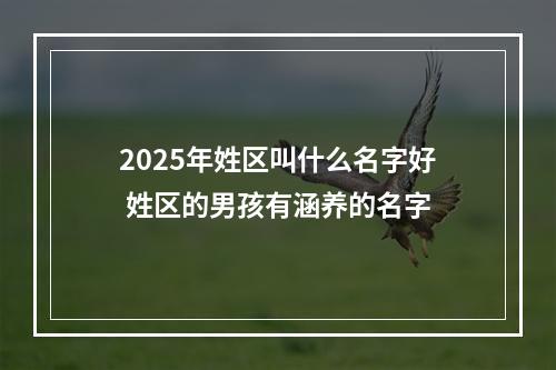 2025年姓区叫什么名字好 姓区的男孩有涵养的名字