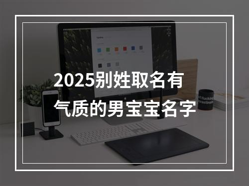 2025别姓取名有气质的男宝宝名字