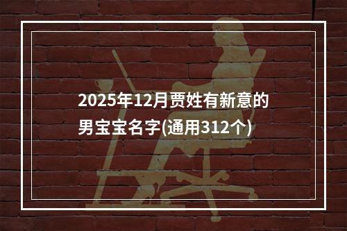 2025年12月贾姓有新意的男宝宝名字(通用312个)