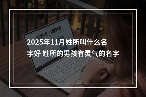 2025年11月姓所叫什么名字好 姓所的男孩有灵气的名字
