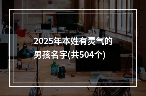 2025年本姓有灵气的男孩名字(共504个)