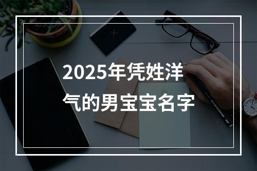 2025年凭姓洋气的男宝宝名字