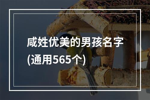咸姓优美的男孩名字(通用565个)