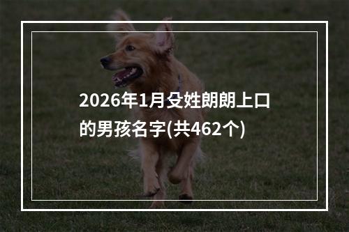 2026年1月殳姓朗朗上口的男孩名字(共462个)