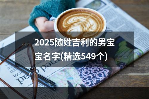 2025随姓吉利的男宝宝名字(精选549个)