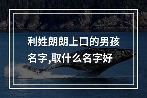 利姓朗朗上口的男孩名字,取什么名字好