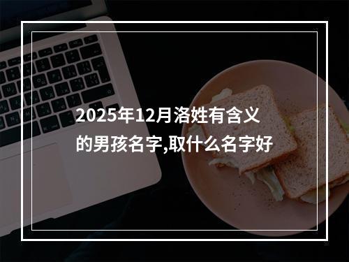 2025年12月洛姓有含义的男孩名字,取什么名字好