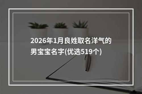 2026年1月良姓取名洋气的男宝宝名字(优选519个)