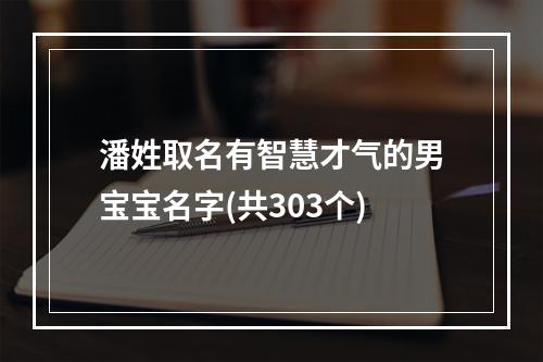潘姓取名有智慧才气的男宝宝名字(共303个)