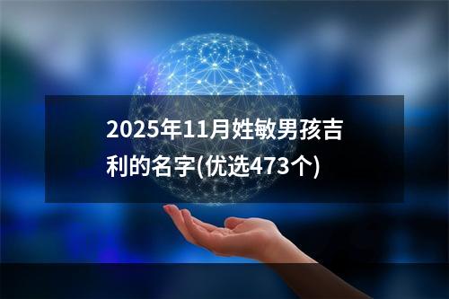 2025年11月姓敏男孩吉利的名字(优选473个)