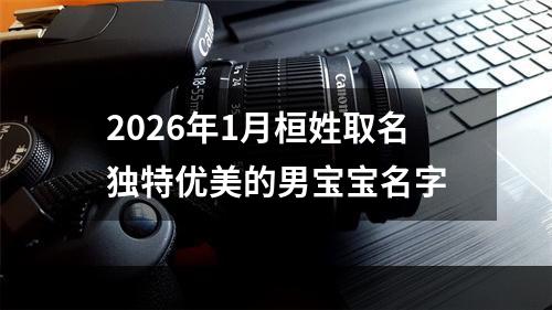2026年1月桓姓取名独特优美的男宝宝名字