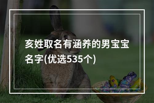 亥姓取名有涵养的男宝宝名字(优选535个)