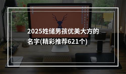 2025姓储男孩优美大方的名字(精彩推荐621个)