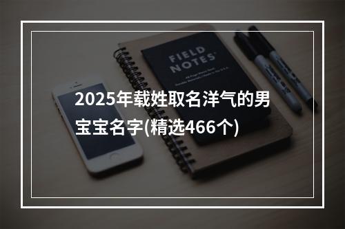2025年载姓取名洋气的男宝宝名字(精选466个)