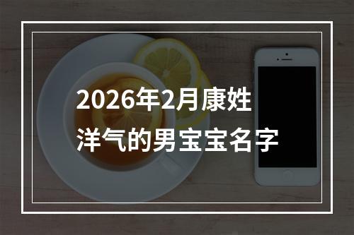 2026年2月康姓洋气的男宝宝名字