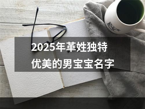 2025年革姓独特优美的男宝宝名字