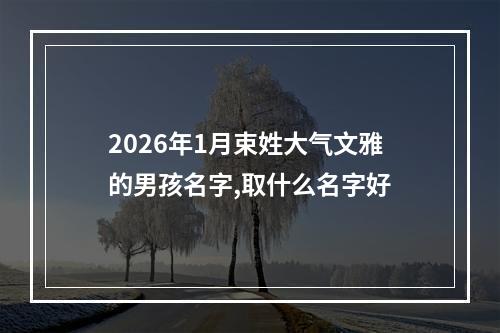 2026年1月束姓大气文雅的男孩名字,取什么名字好