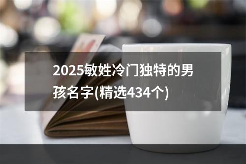 2025敏姓冷门独特的男孩名字(精选434个)