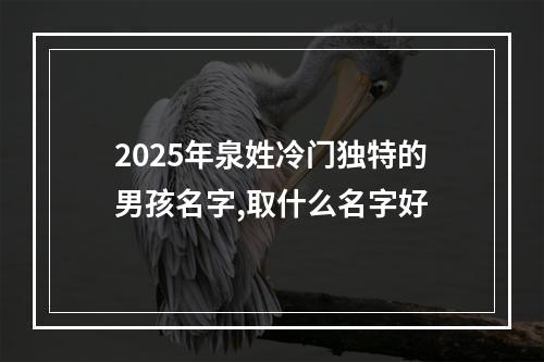 2025年泉姓冷门独特的男孩名字,取什么名字好