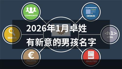 2026年1月卓姓有新意的男孩名字