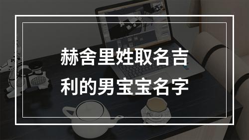 赫舍里姓取名吉利的男宝宝名字