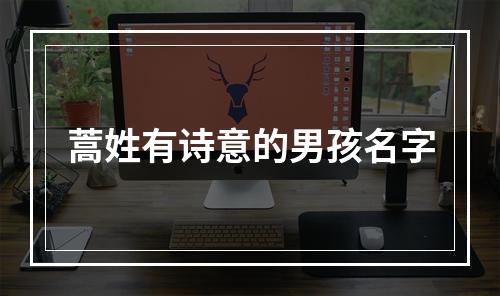 蒿姓有诗意的男孩名字