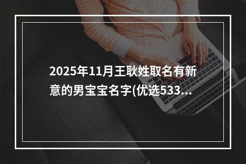 2025年11月王耿姓取名有新意的男宝宝名字(优选533个)