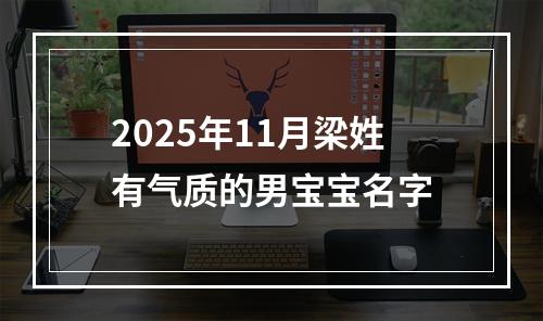 2025年11月梁姓有气质的男宝宝名字