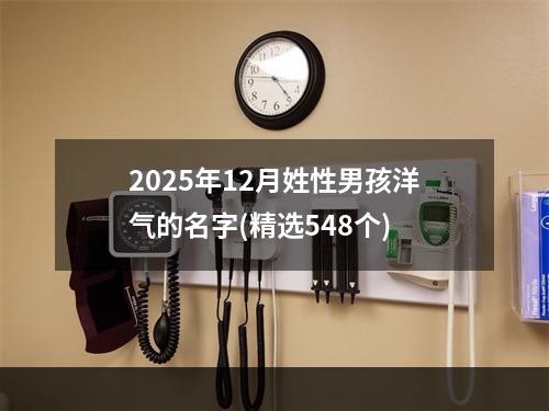 2025年12月姓性男孩洋气的名字(精选548个)