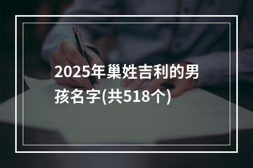 2025年巢姓吉利的男孩名字(共518个)