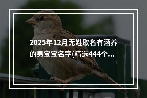 2025年12月无姓取名有涵养的男宝宝名字(精选444个)