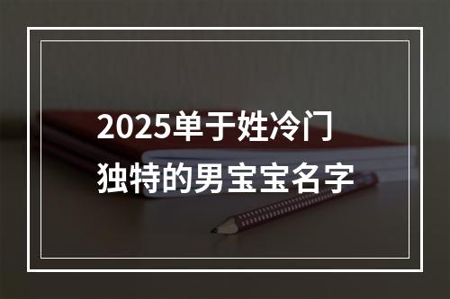2025单于姓冷门独特的男宝宝名字