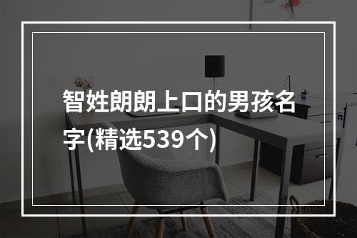 智姓朗朗上口的男孩名字(精选539个)