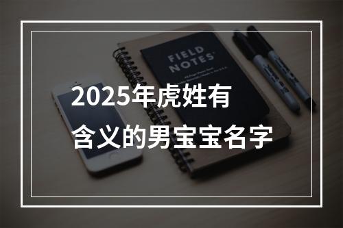 2025年虎姓有含义的男宝宝名字