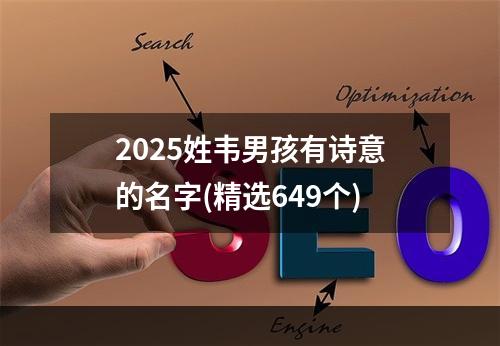 2025姓韦男孩有诗意的名字(精选649个)