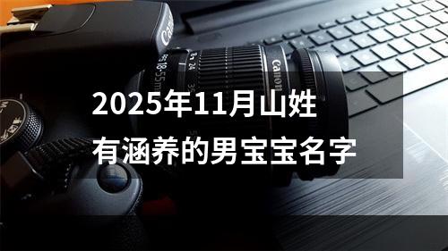 2025年11月山姓有涵养的男宝宝名字