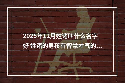 2025年12月姓诸叫什么名字好 姓诸的男孩有智慧才气的名字