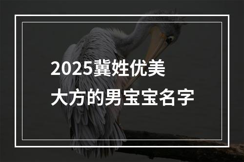 2025冀姓优美大方的男宝宝名字