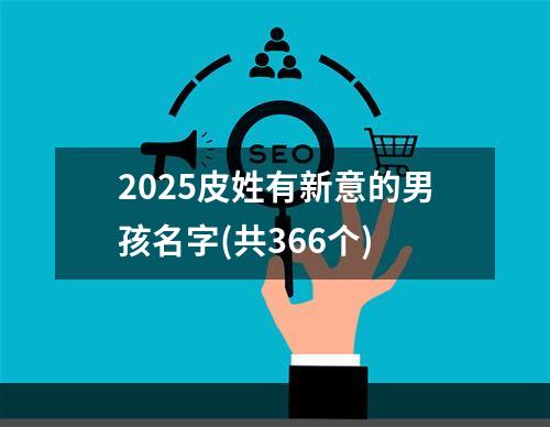2025皮姓有新意的男孩名字(共366个)