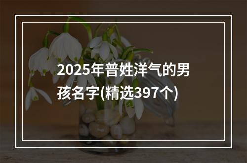 2025年普姓洋气的男孩名字(精选397个)